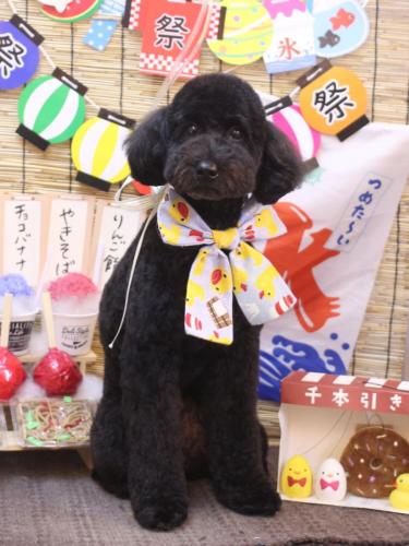 20240727アロちゃん